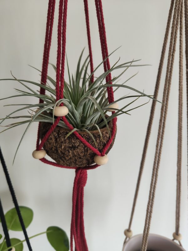 Suspension Plante ajustable corde perles Macramé – Image 9
