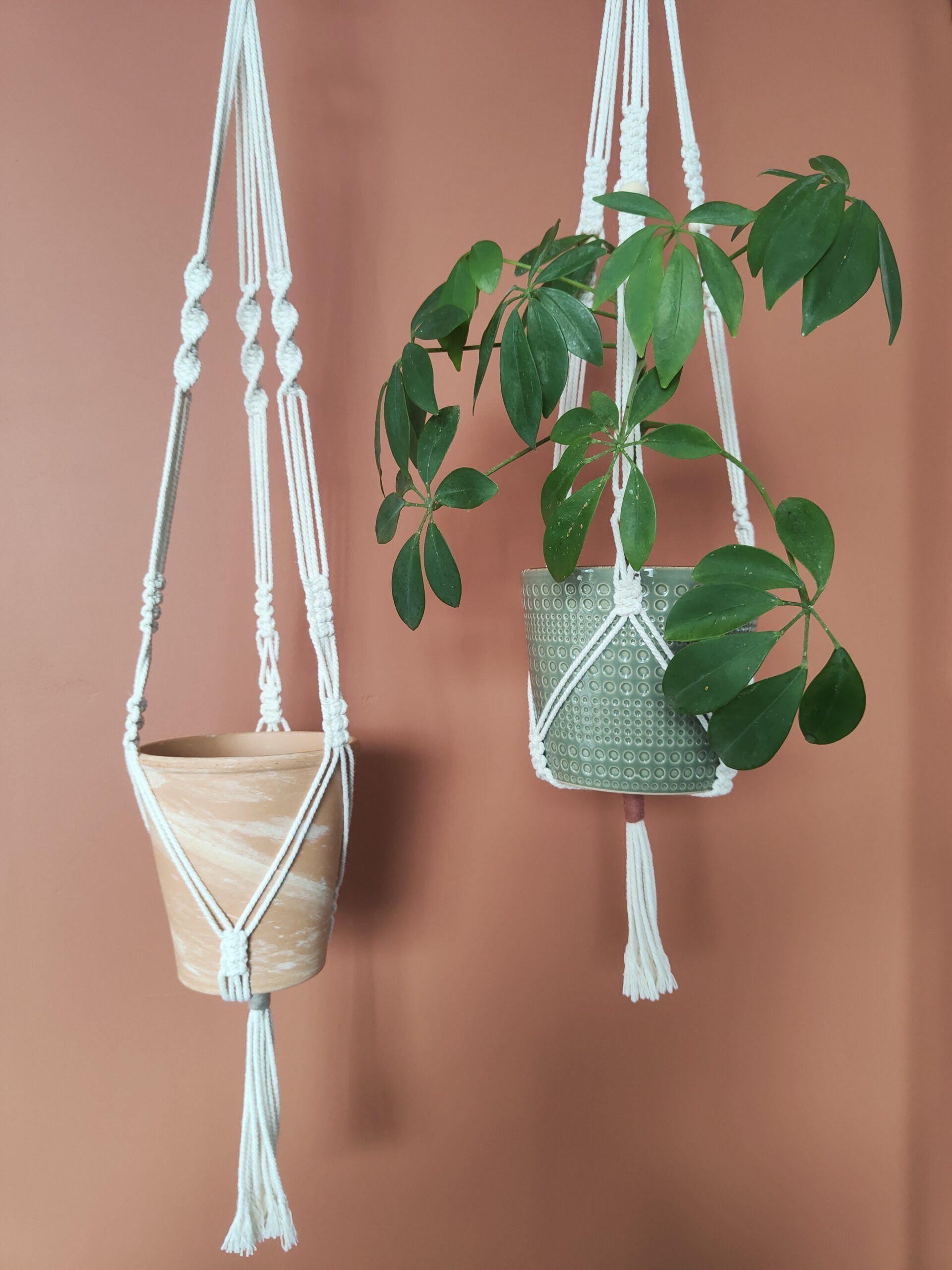 Atelier Suspension pour plantes en macramé - Loire créateurs Montreuil Juigné 06/10 à 14h